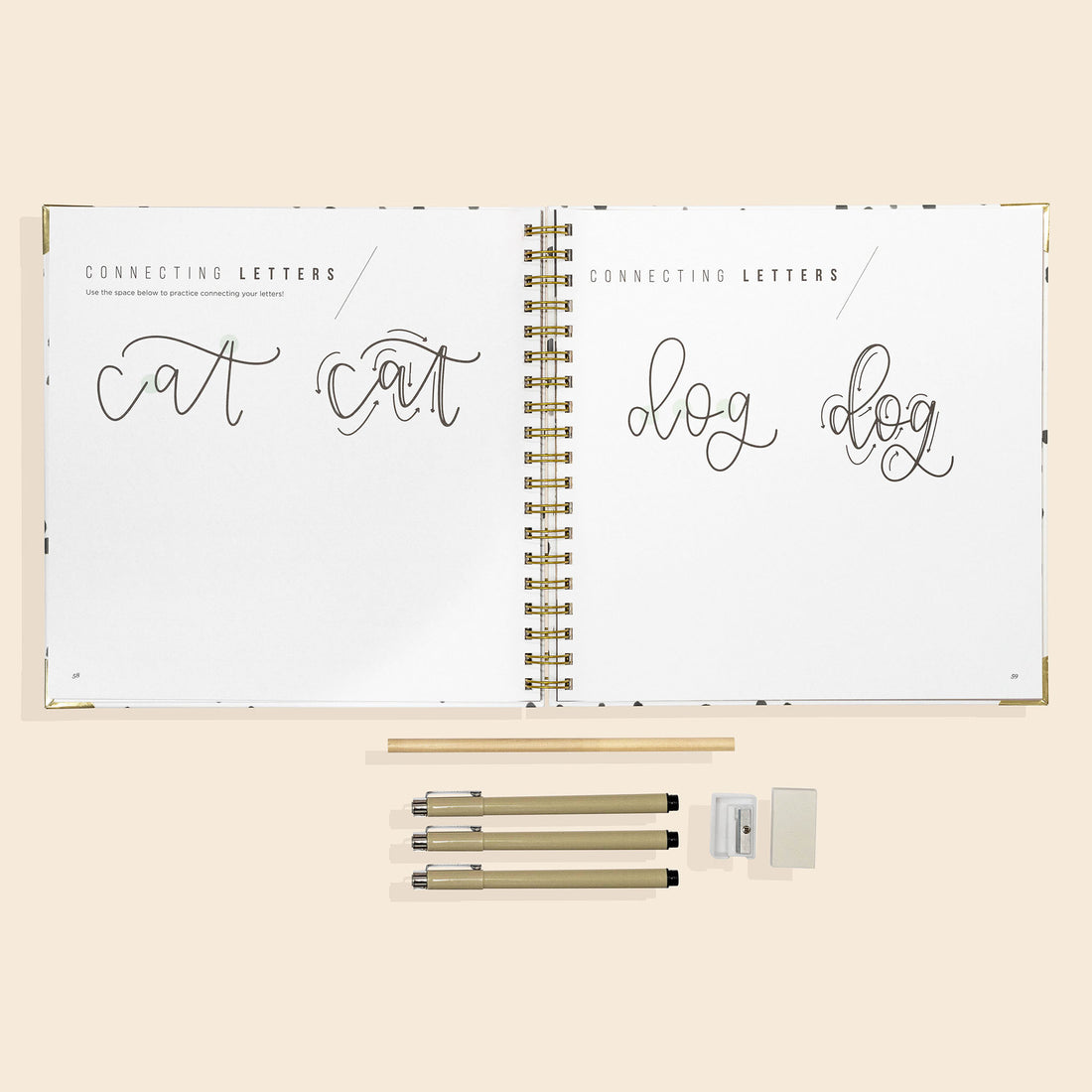 Kid Kits: Calligraphy Kid Kit : From Beginner to Expert by
